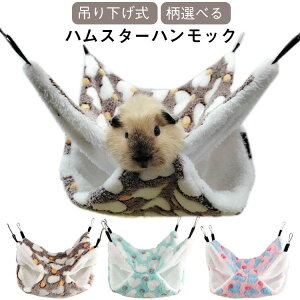 H~ g B X h nX^[nbN RR Q[W nEX NbVxbh Q p  ݂艺