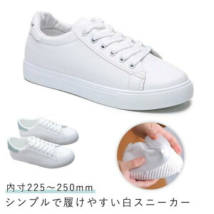 tbgV[Y Vv fB[X JWA U[Xj[J[ ₷  v Xj[J[ ₷ [Jbg