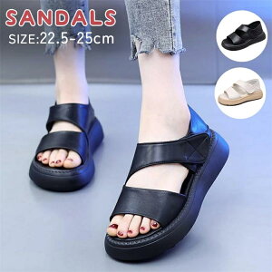 ꃁbVT_ ₷ JWA AEghA Vv r fB[X ubN  EH[LOV[Y wlC