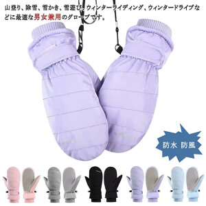 ϖ AEghA ʊw EC^[ WjA Xm[O[u Xm[{[hO[u ~g  Xm{[ XL[ 