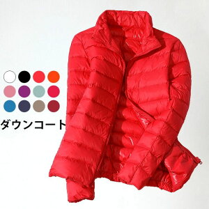 HV ~ ~AE^[ h΍ ۉ g  _E50% X^hJ[ nClbN h y _EAE^[ _E