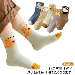 tďH~ q ʉʊwC ct ۈ牀 LbY \bNX j̎q Lbg ˂ L Aj} r _Ci\[   C