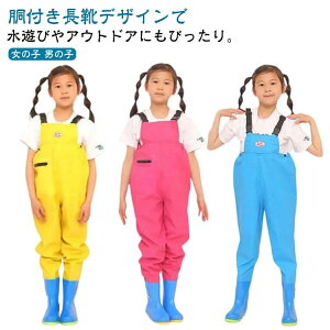 V tC  EF[_[ vCEFA Č^ j̎q ϖՐ c V  `FXgnCEF[_[