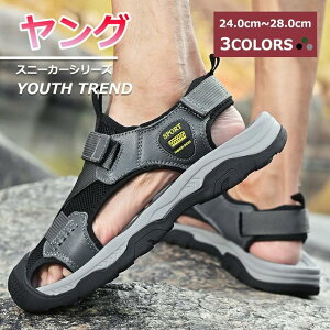 ؂ RtH[g Y ʊw 傫TCY Ȃ V[Y XChT_ fB[X ₷ ɂȂ T{ s