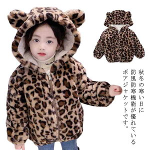 {Au] {At[X {A {AR[g Ԃ t[ht  q  xr[ WPbg {Ap[J[ t@[