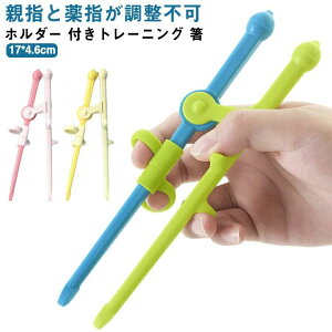 お箸 箸 こども 付きトレーニング かわいい 子供 練習箸 しつけ箸 すべらない 子ども キッズ おはし 男の子 持ち方 お箸の練習
