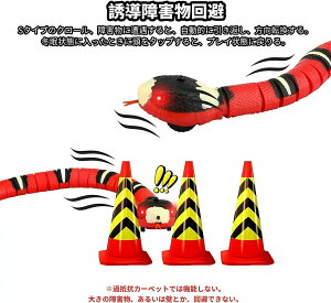 X}[gZVOXl[NL̂ USB[dւ̂ L̃wr̂ Lւ̂ 40cm