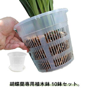 屋内 オーキッドプラン 屋外 鉢 胡蝶蘭 植木鉢 透明 穴付き 育苗ポット プラスチック 蘭の鉢 胡蝶蘭の植え替え オーキッドポット