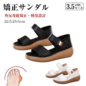 fB[X T_ EFbWT_ gAbv RtH[gT_ O䋸 Xj[J[T_