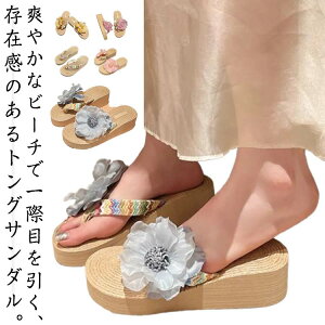 T_ T_ l ₷ bNX T_ JWA 䂩   ₷ r[` ԕ  wl ʕT_  Ȃ  y fB[X l gOT