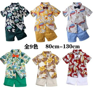 q X^C Vv  JWA㉺ZbgAbv 2_Zbgԕ V TVc+V[gpc j̎q