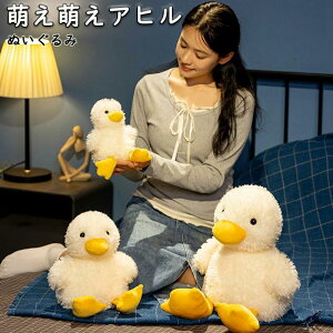 ӂӂ Mtg  ObY G av[g Ђ 蕨 CeA Aqʂ