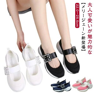 rW[ pvX fB[XXj[J[ Xj[J[   LL  [WF[ [WF[ Xj[J[