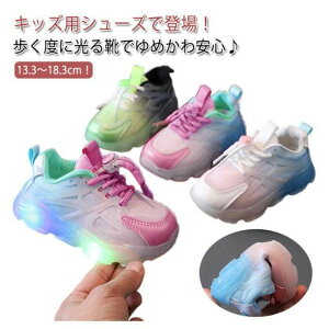 ^  Xj[J[ ʉ j̎q qC \[Cg C jOV[Y V[Y C LbY C ̎q