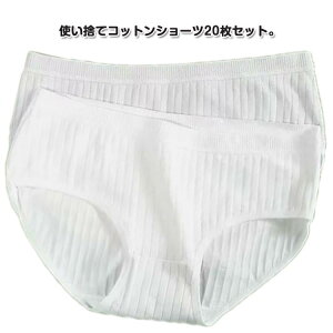  @ hЃObY  @ {pp Cws  Rbg ĝ ĝ 20 ʕ  V[c pc ĝ