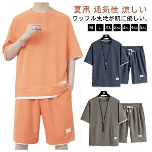 ʋC V[gpc  ėp JWA  ZbgAbv bt Y 傫TCY ㉺Zbg  