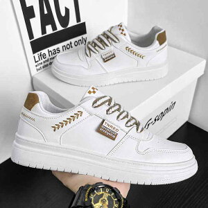 Y Xj[J[  R t tbg ~ C   Ehg [XAbv H~ PUU[ tbg _炩 jp