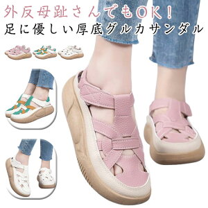 _炩 fB[X OJT_ EȂ ɂȂ O T_ Ȃ T_