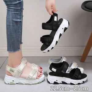 RtH[gT_ AEghA  fB[X T_ TCY 킢 ₷ ɂȂ X|[c y 5cm\[