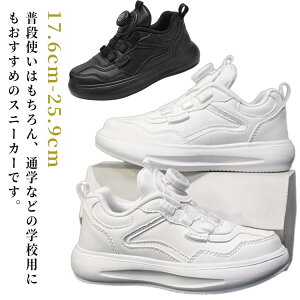 ʊw w _C y Xj[J[ ʉ XN[V[Y j̎q h X|[c ^C w WjA _炩 ̎q