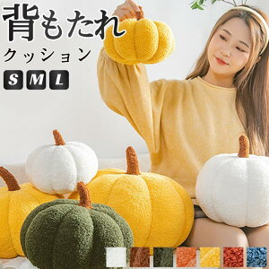 zc JWA xbh \tg w  bNX ANZT[ ڂ nEB \t@[  NbV\t@