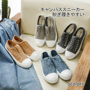 y ~ tbgV[Y fB[X _ K RtH[gV[Y Xj[J[ ʋCǂ LoXXj[J[