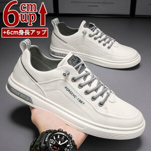  ʋC w ^C Xj[J[ Cq[ K rWlX gAbv6cm C amC V[NbgV[Y up PUv