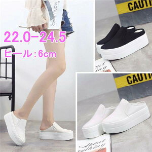 ƂȂ  Xb| fB[X C t Vv n JWA q[6cm i r ʊw  E₷