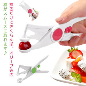 `F[sb^[   TN{ j ~̎  WÂ  TN ڂ̎