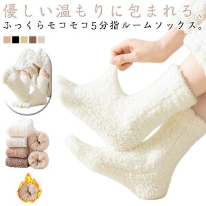 2Zbg 5{wC ₦C k  fB[X |J|J g  ₦ ܖ{w 5{w\bNX 5{w