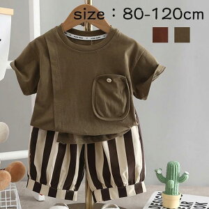 �x�r�[�� �j�̎q �a���� �㉺�Z�b�g �o�Y�j�� �Z�b�g�A�b�v ���Y�{�� 2�_�Z�b�g �L�b�Y 80-120cm ������� �Ԃ���� ���� �L ��