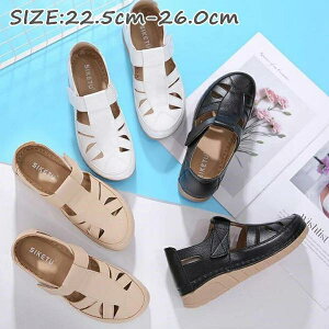 ؂ ST_ StBbgT_ T_ t 5cm [q[ ₷  fB[X fB[X