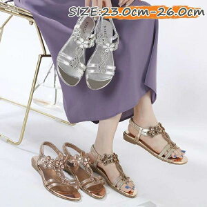  C V[Y fB[X r ~ V[Y ₷ Ă̐VX^C LLV[Y ؂ C