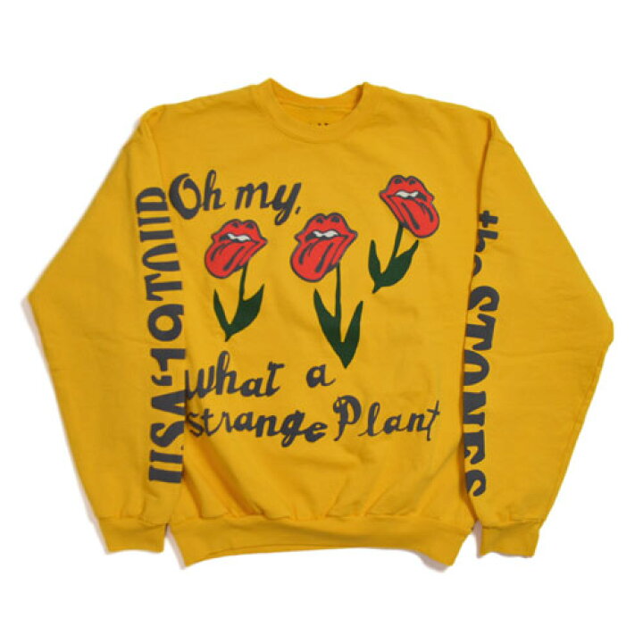 楽天市場】Cactus Plant Flea Market Rolling Stones No Filter Tour  