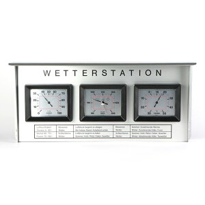 TFA Dostmann / Analogue outdoor weather station with hammer paint finish 20.2019 AiOAEghAEFU[Xe[V hCc Cیv xv xv Cv CeA u  |Cg 