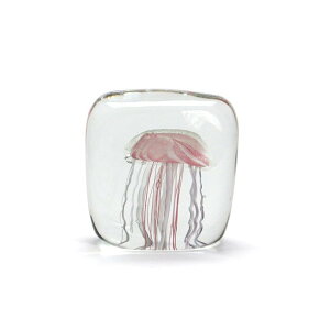 Jellyfish Twisted Leg - Square / Pink WF[tBbV cCXgbO XNGA / sN OXIuWF IuWF y[p[EFCg CeA u G KX ꕔ~fގgp 炰 N