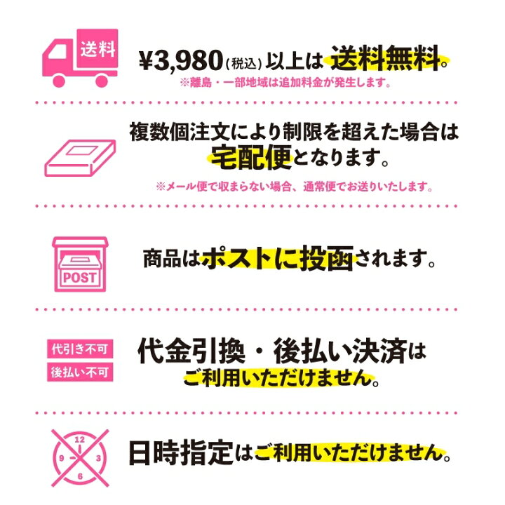 楽天市場】チアクリアファイル A4サイズ GO FIGHT WIN CHEERLEADING WE 