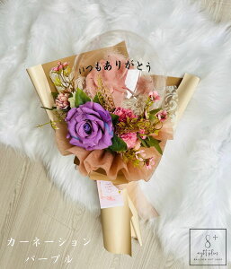 o[ԑ a l Ǝ  o[Mtg t[    v[g LO JXj JƏj ԑv[g  u[P o[t[Mtg 5000~