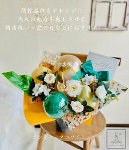 o[ Mtg   j o[AW o[AWg LO o[t[ Mtg  d j a  Ǝ JXj ړ]j ACj w