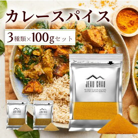 カレースパイス セット 3点セット 各100g【クミン ター メリック コリアンダー】JEAU CHAU ジョウショー スパイス 無添加 パウダー 粉末 チャック付き袋 カレー カレー粉