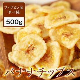 楽天市場 バナナチップの通販