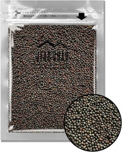uE}X^[hV[h 100g JEAU CHAU WEV[ XpCX lp[Y }X^[h Iʕi ` Brown Mustard Seed XpCX hY Ɩ }X^[h 炵 XpCX Ɩp