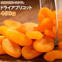 ドライ アプリコット トルコ産 450g 送料無料 アプリコット ドライ あんず 杏 杏子 あんず ドライあんず 食物繊維 豊富 ドライアンズ 健康 　杏子 あんず お徳用　おやつ ドライアプリコット ドライフルーツ 砂糖不使用