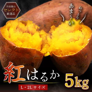 ys\EԌzɌY g͂邩 OgRY LE2L  5kg ܂ ܈ Tc}C   g͂邩 ׂɂ͂邩 Ă  uh Y y2025N10