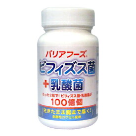 ビフィズス菌 + 乳酸菌 （60粒） 腸内環境 ケア サポート 乳酸菌サプリ 菌活 ヘム鉄 腸活 サプリ 健康サプリ サプリメント ビフィズス 菌 乳酸菌サプリメント 健康サプリメント 健康食品 栄養補助食品 穏やか 女性 栄養補助 食品 健康