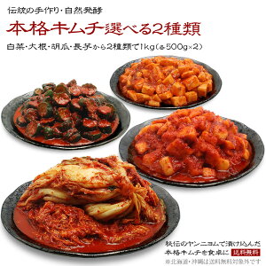 4ނ2Iׂ L` 1kg Zbg {i L` Е Y _ y yHi Ry Mtg т̂ ؍ hq L` Ђ h |ML`  イ 卪  