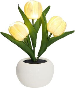 `[bvLEDiCgCg ȃGl ԕrt  z[ rO[ z[fR[V e[uv ޏ a zf[p[eB[  ̑ Qp V~[