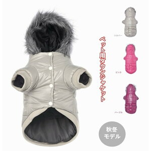   EFA  L ^ ^ _E WPbg H~f g h h Xq t@[