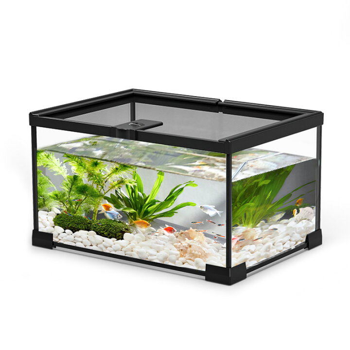 楽天市場】水陸両用 爬虫類ケージ テラリウム 爬虫類 飼育ケース 飼育 