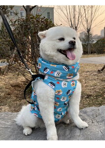  ĕ ⊴N[xXgƌ N[lbNlbNN[[  ۗ܂Ȃ ₷ЂObY ĔMǑ΍ ObY  p ⊴xXgL ΍􂨎U ⊴^IpxXg